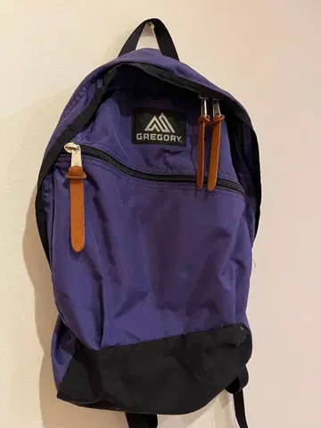 GREGORY 보라색 백팩