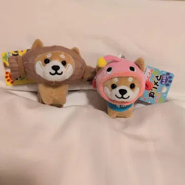 여행하는 콩 시바 아귀 미토 낫토