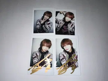 Rides In Revellion 시오 폴라로이드