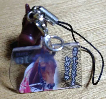 아이돌 호스 미니 컬렉션 레가레이라 제40회 호프풀 스테이크스