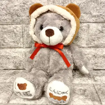 지역 한정 베어 군마현 한정판 곤약 테디베어 봉제 인형