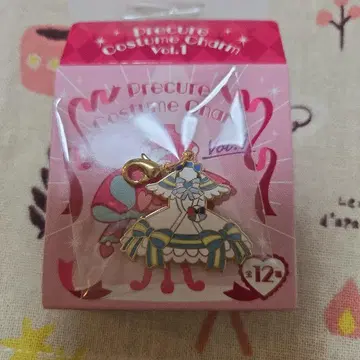 프리큐어 코스튬 참 큐어 네이비