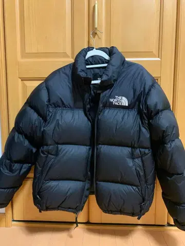 THE NORTH FACE 눕시 M US