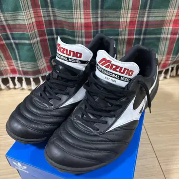 미즈노 모렐리아 TF