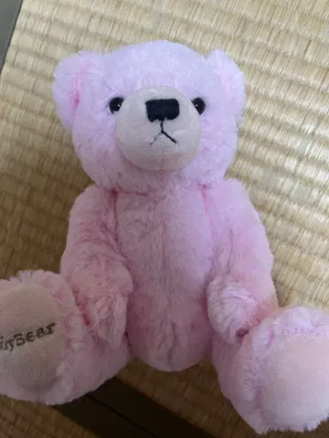 핑크색 곰 봉제 인형