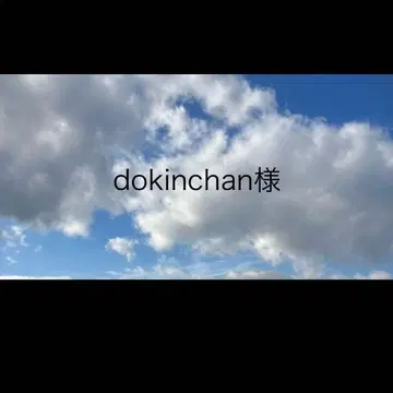 dokinchan님