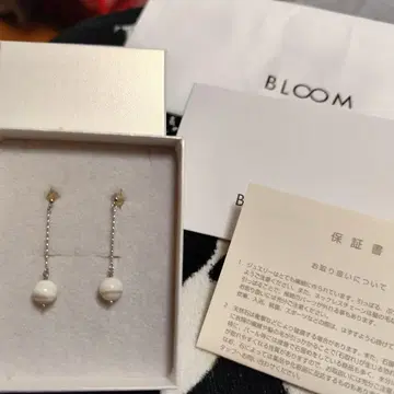 BLOOM K10WG 쉘 귀걸이