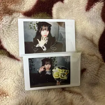 iLiFE! 후쿠마루 우사 런치 폴라로이드