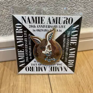 아무로 나미에 20주년 기념일 라이브 핀즈