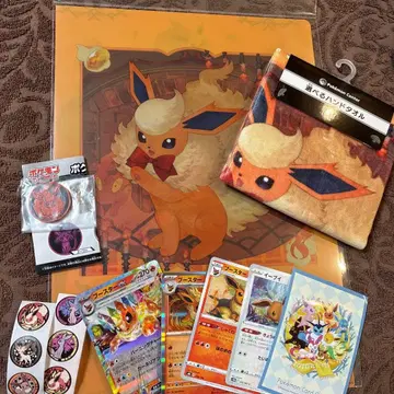 부즈 이브이 컬렉션 부스터 클리어 파일 핸드 타월 덤