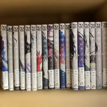 소년의 아비스 전권