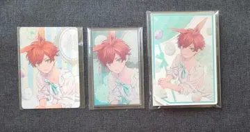 Another Aspect 아크릴 스탠드 천스트라글 호나 아크카