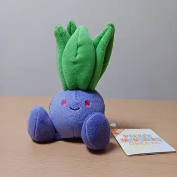 포켓몬 나조노쿠사 ALL STAR COLLECTION 봉제 인형 미니