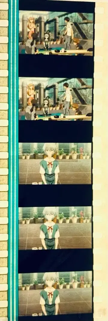 에반게리온 신극장판 파 첫 구매 혜택 필름 아스카 아야나미 레이 신지