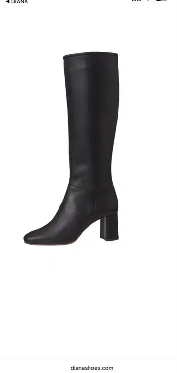다이애나 롱 부츠
