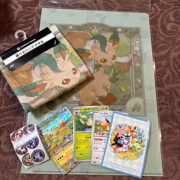 이브이 컬렉션 리 피아 클리어 파일 핸드 타월 덤 포함!