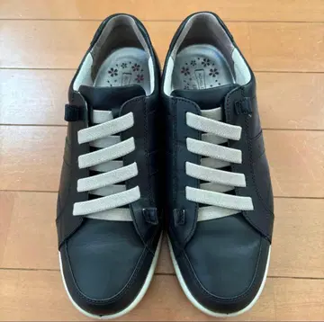 아킬레스 솔보 24.5cm