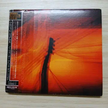 노 파더 헤드 댄 투데이