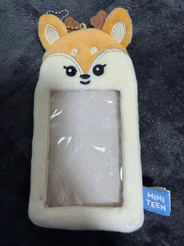 조슈아 MINITEEN 미니틴 SEVENTEEN 트레이딩 카드 케이스