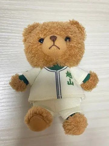 하극상 투수 에치야마 고등학교 코스튬 베어