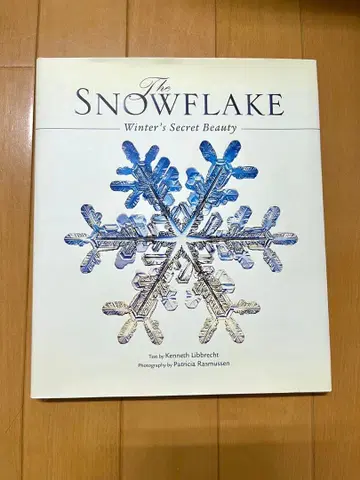 The Snowflake: Winter's Secret Beauty
