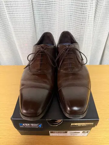 다크 브라운 비즈니스 슈즈 방수