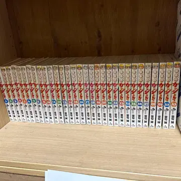 강철의 연금술사 30.31권