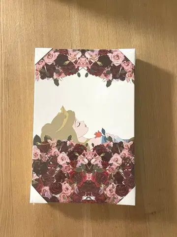 디즈니 스토어 오로라 공주 패브릭 보드 캔버스 아트