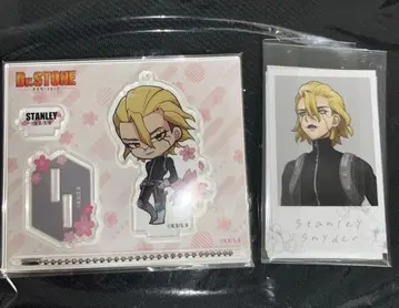 Dr.STONE 아크릴 스탠드 꽃놀이 벚꽃 에테르노레시 스탠리 사진