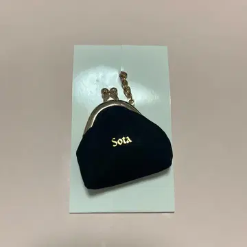 BE:FIRST 소우타 BE:ST 시크릿 코인 케이스