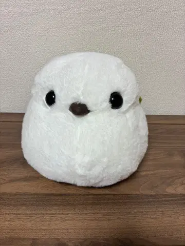 복복 시마연가 말차 시마짱