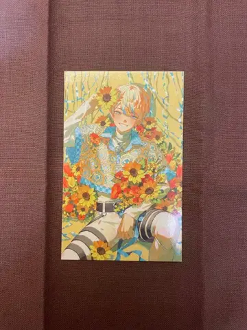 히바치 마나 니지산지 노스탤지어 컬렉션