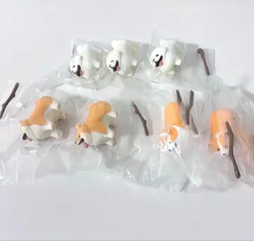 느낌 좋은 막대기를 겟한 개 코기 페키니즈 시바견