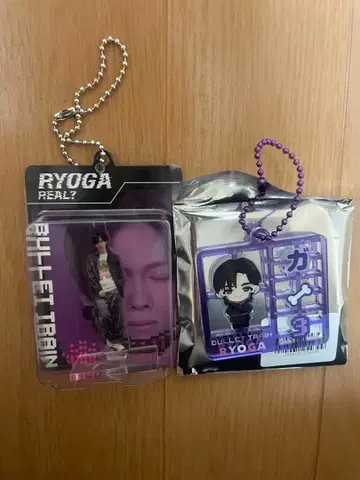 초특급 랜덤 플라스틱 모델풍 키링 블리스터 키링 료가