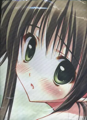 료카 아사히 짱 샤워 커튼 전격 모에왕