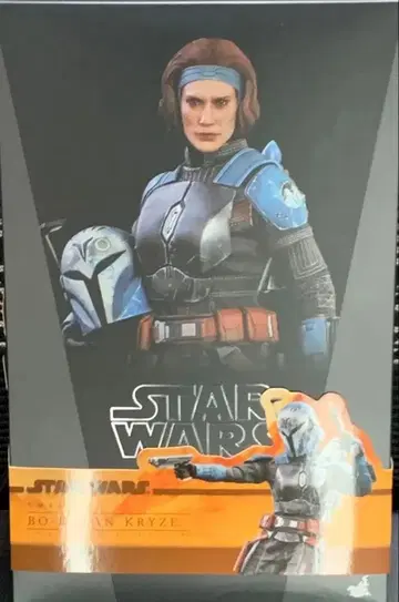 스타 워즈 hottoys 보카탄 핫토이즈