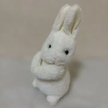 오이케 꽃다발을 든 토끼 봉제 인형 (꽃다발 미포함)