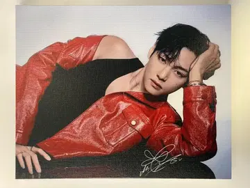 BTS V 캔버스 패널