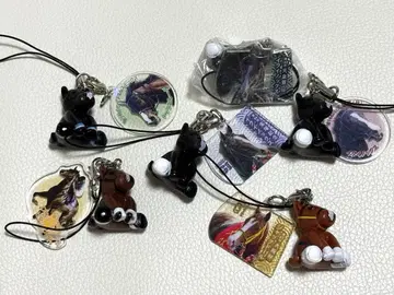 아이돌 호스 미니 컬렉션 세트 이퀴녹스