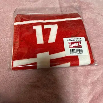 이치카와 켄타 울프도그스 나고야 17번 타월
