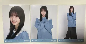 노기자카 브로마이드 스가와라