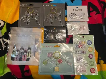 아라시 전시회 지퍼락 아크릴 키체인 캔뱃지 핀 배지 씰