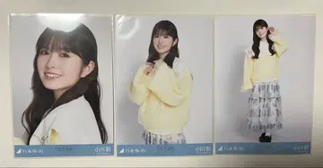 노기자카 브로마이드 오가와