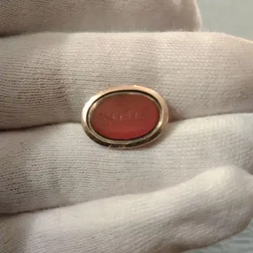 K9 포브 씰 카넬리안