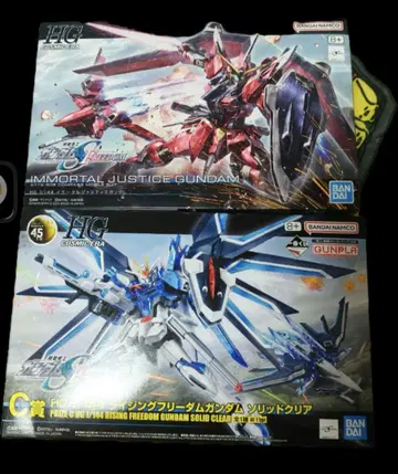 HG c상 라이징 프리덤 hg 이모탈 저스티스