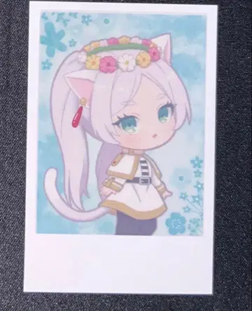 마법의 숲의 프리렌 혜택 프리렌