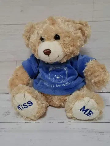 미사용품 Toys R Us 키스 매니아 베어 셔츠 포함 봉제 인형