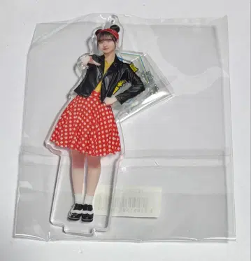 노기자카46 카나카와 사야 아크릴 스탠드 노기자카 스키츠 굿즈 새상품