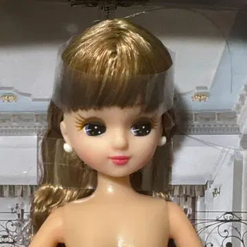 리카짱 어른스러운 리카짱 본체만 미사용