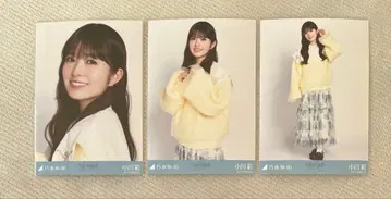 노기자카46 브로마이드 오가와 아야 카라 부착 코디 3종 컴프